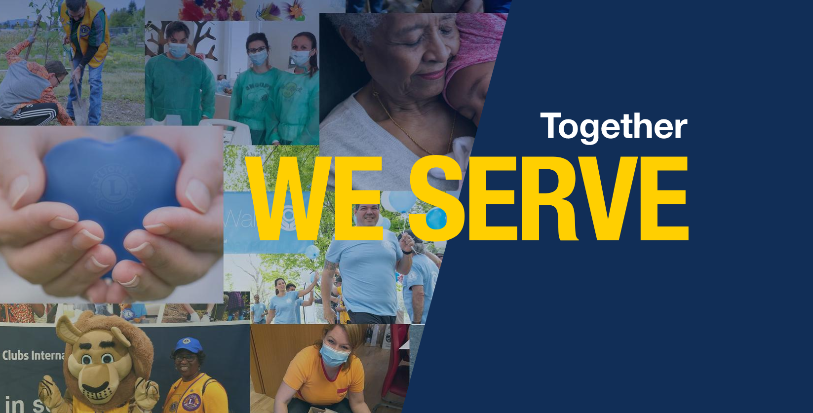 Bli kjent med Lions!